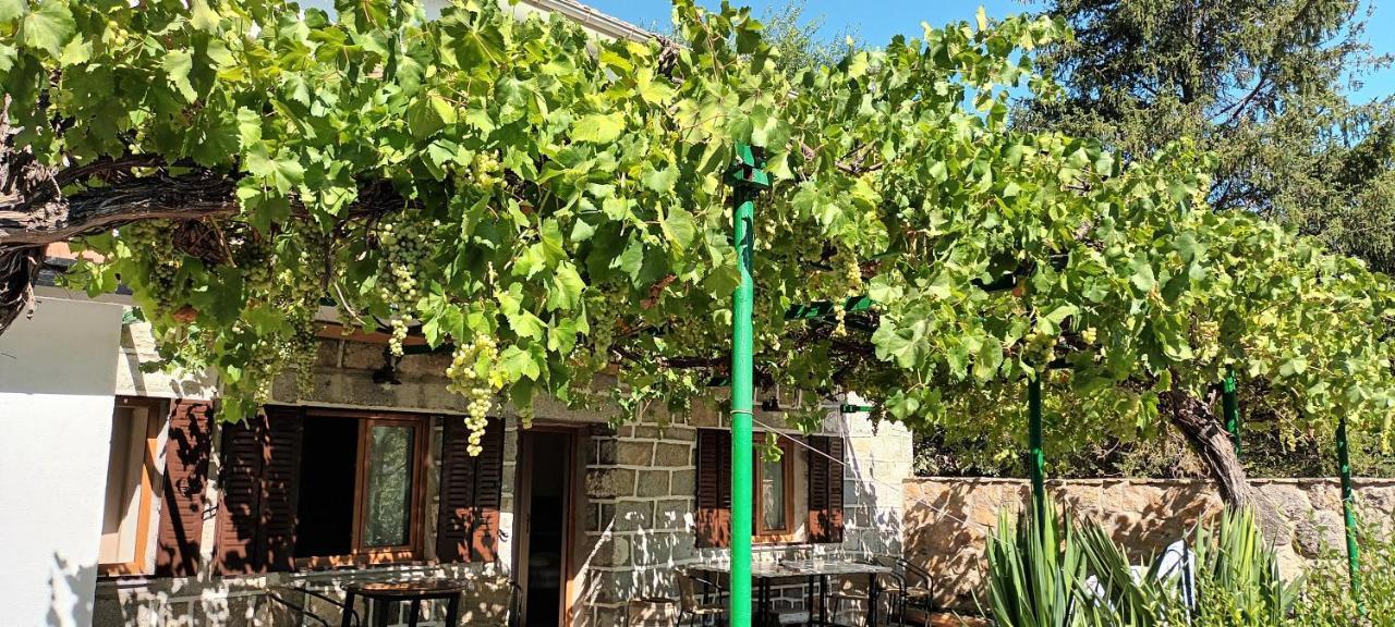 Pensjonat La Parra De Pepa Cercedilla Zewnętrze zdjęcie